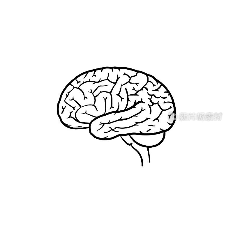 Human brain hand drawn outline doodle icon